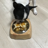 ボス
