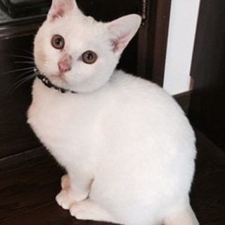 【12/10東日本橋】そばかすだってお気に入り♡