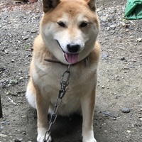 スク