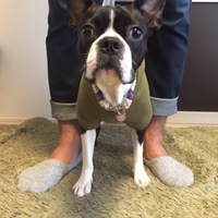 ドナ