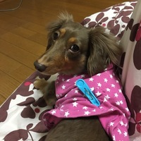 マロン