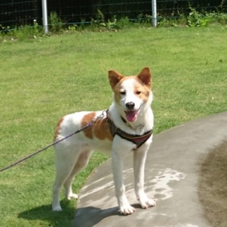 本当はヤンチャな女の子♫