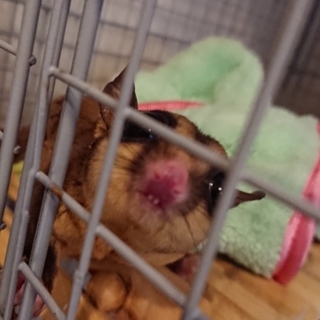 応募ありがとうございました