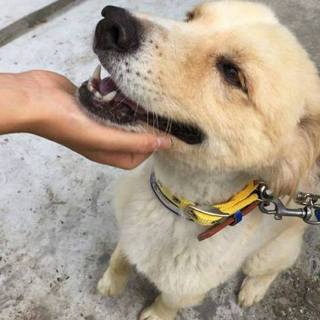 ☆トライアル開始予定です。