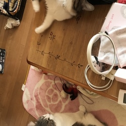 さらに‥