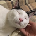 トライアル決定♡甘えん坊さつきくん