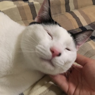 トライアル決定♡甘えん坊さつきくん