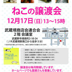 むさしの地域猫の会　ねこの譲渡会