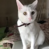  さん