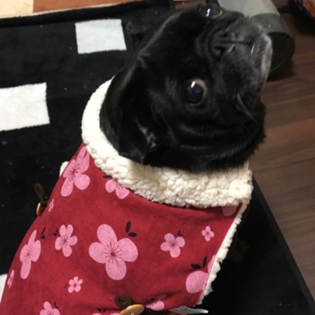 ヒロシとユカのカバー写真