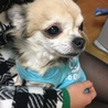 ☆たかたか