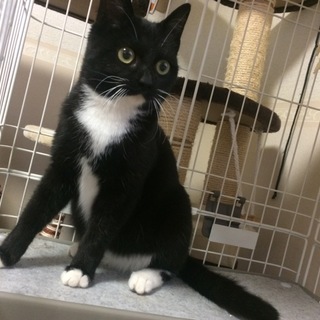 とても素敵なご家族様に巡り会えました！！