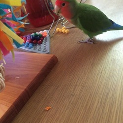 寒いですね=(^.^)=