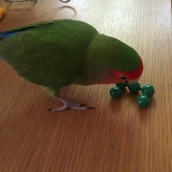 「寒いですね=(^.^)=」サムネイル2