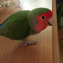 「寒いですね=(^.^)=」サムネイル3