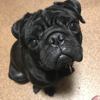 只今検討中です。