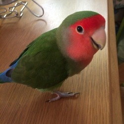 ドヤ顔第2弾（＾∇＾）