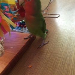 「ドヤ顔第2弾（＾∇＾）」サムネイル2