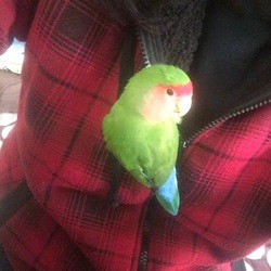 「ドヤ顔第2弾（＾∇＾）」サムネイル3