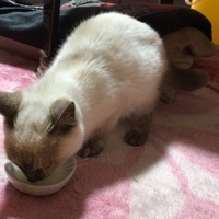 さき