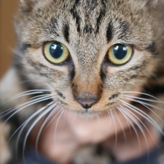 幸せになりました、ありがとうございました。