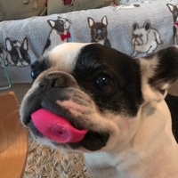 パオロ