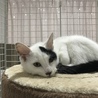 一緒にお願いします！ サムネイル2