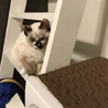 けんたろう1717