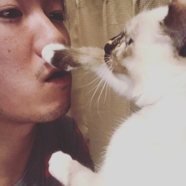 けんたろう1717のカバー写真