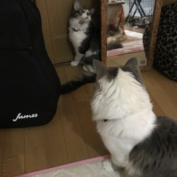 気になる