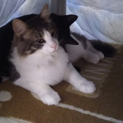 「ジジ君 1ヶ月 12日」サムネイル3