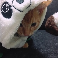 むぎ