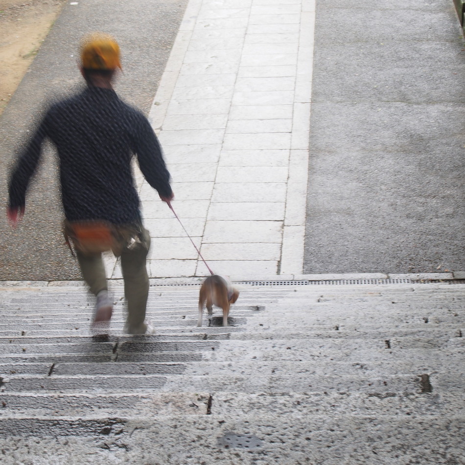 えだまめのカバー写真
