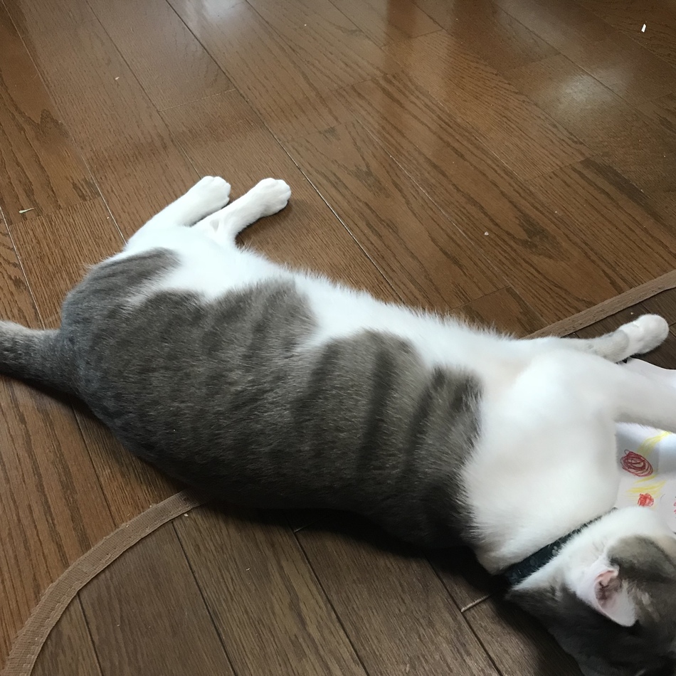 りり太郎のカバー写真