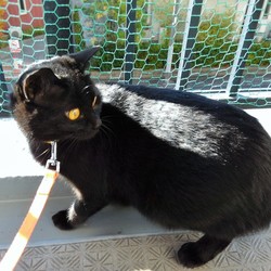 「ウンチングハイ」サムネイル1