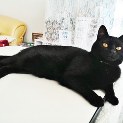 「ウンチングハイ」サムネイル3