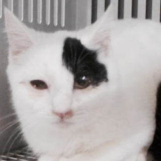 里親様のお迎えがありました。有難うございました。