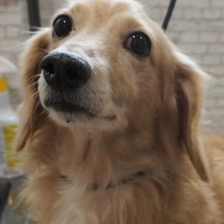 元気な甘えん坊さんです☆