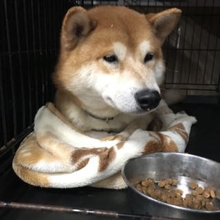 ♂５１２里親さん募集です( ^ω^ )