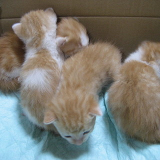 11月24日に生まれました！