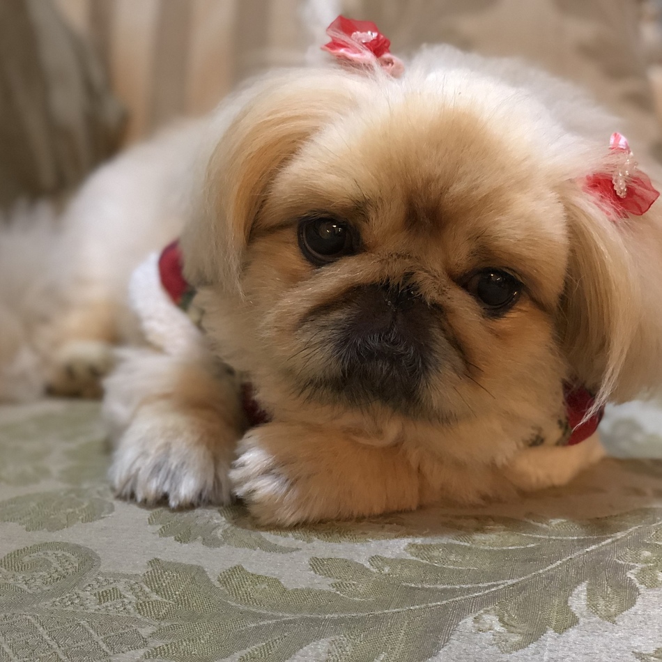 アイムのカバー写真