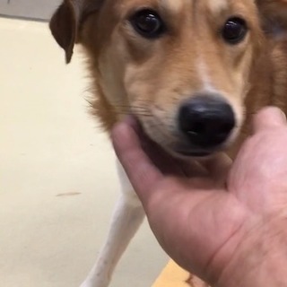 脚いたいいたい！