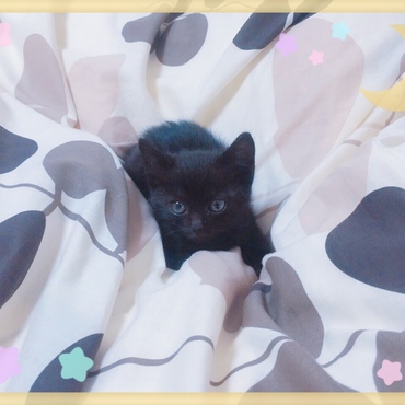 ちっちゃい時のめめ❤️