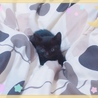 ちっちゃい時のめめ❤️