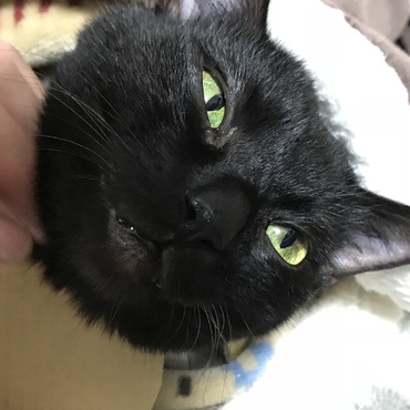 ぶちゃめめ❤️
