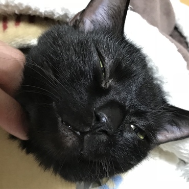 ぶちゃめめ❤️