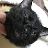 ぶちゃめめ❤️
