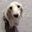 可愛がってくれる方募集します！