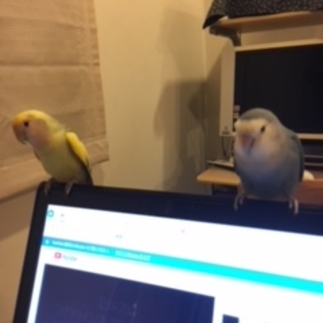 daisakippeのカバー写真