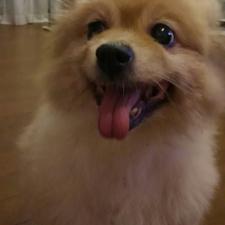 すごくおりこうです(^_^)